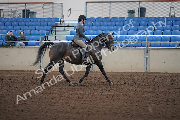 2019 Morgan Horse Show - Sept 01, 2019 - 11036