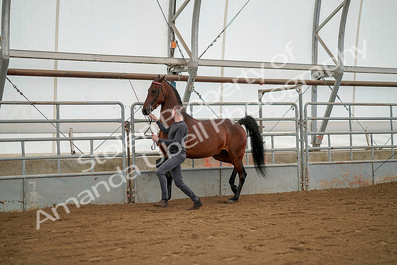 July 19, 2019 - 1239