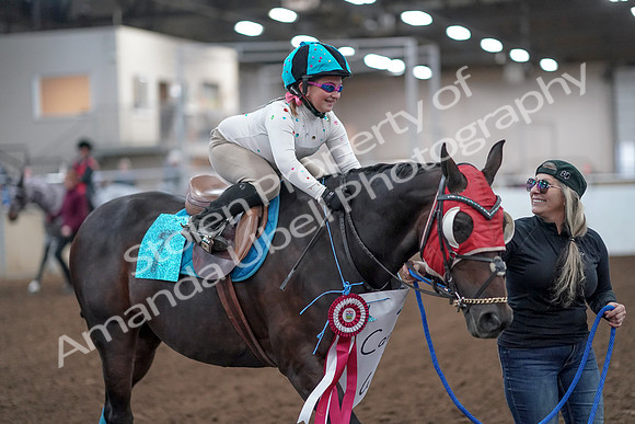 2019 Morgan Horse Show - Aug 31, 2019 - 09985