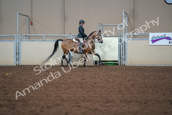 2019 Morgan Horse Show - Aug 30, 2019 - 20791