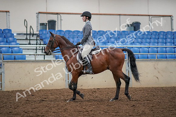 2019 Morgan Horse Show - Aug 30, 2019 - 23201