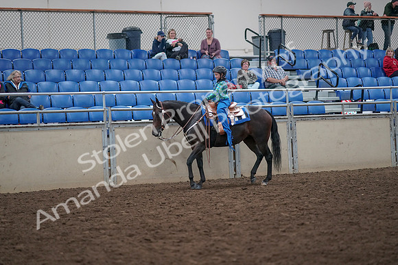 2019 Morgan Horse Show - Aug 31, 2019 - 16306