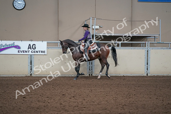 2019 Morgan Horse Show - Aug 31, 2019 - 10587