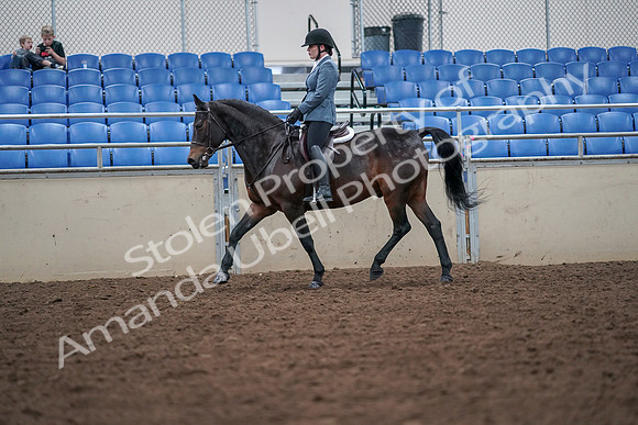 2019 Morgan Horse Show - Aug 30, 2019 - 18420
