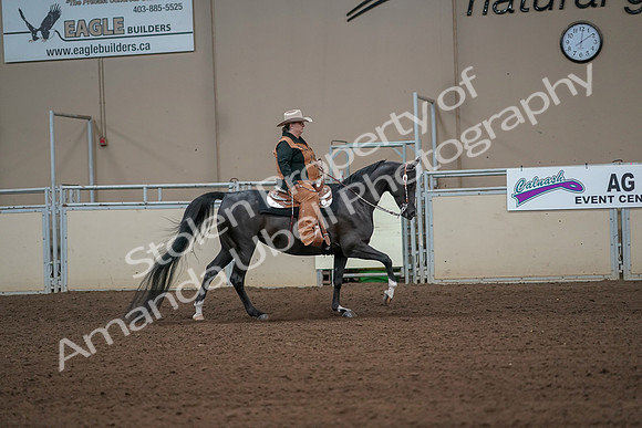 2019 Morgan Horse Show - Aug 31, 2019 - 06163