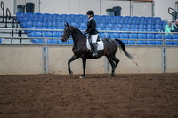 2019 Morgan Horse Show - Aug 30, 2019 - 18299
