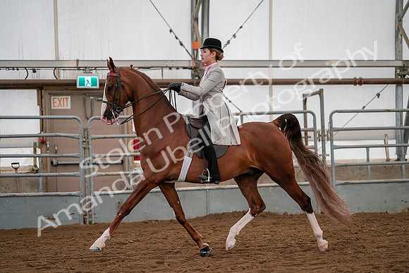 July 19, 2019 - 10440