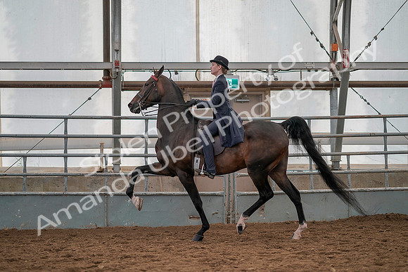 July 19, 2019 - 12923