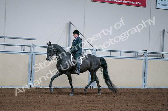 2020 - AB Morgan Horse - Fri, Sept 04 - 01568