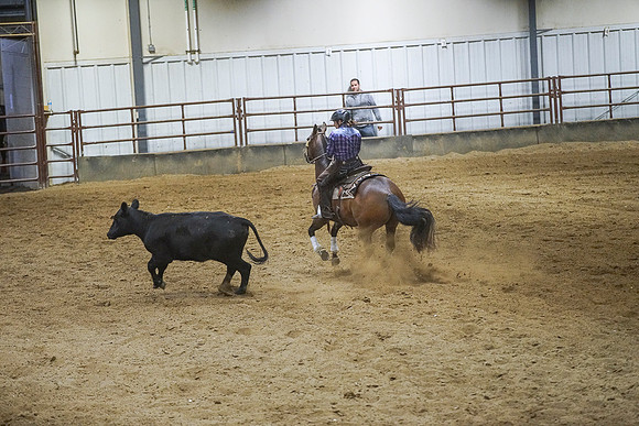 DSC03000