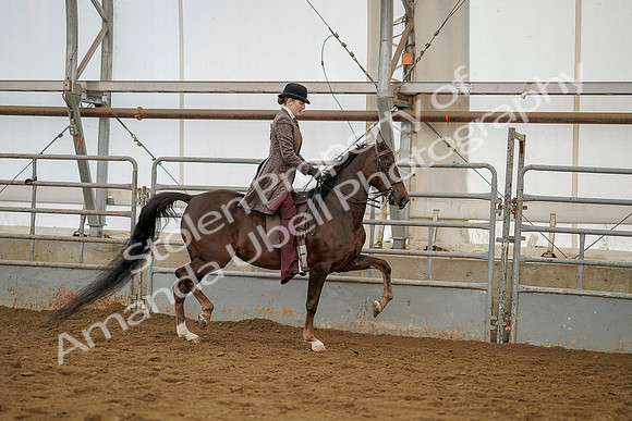 July 20, 2019 - 04546