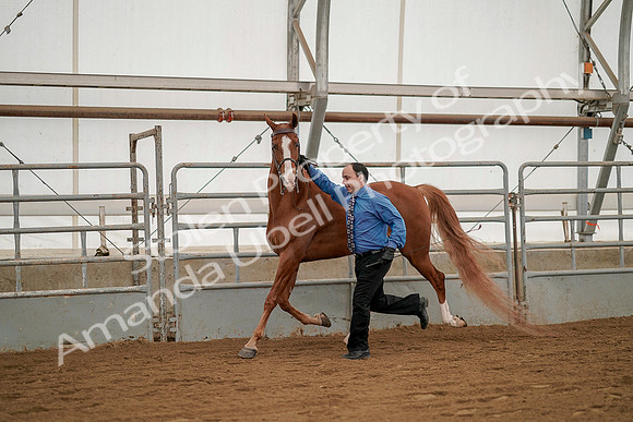 July 19, 2019 - 1374