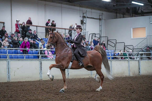 Spring Fling - Saturday - April 20, 2019  -  00418