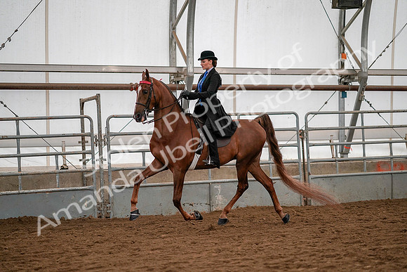 July 19, 2019 - 10296