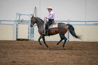 2020 - AB Morgan Horse - Sat, Sept 05 - 05660