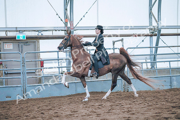 July 20, 2019 - 24045