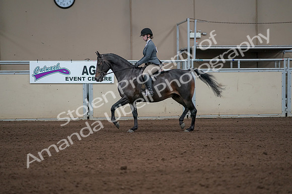 2019 Morgan Horse Show - Sept 01, 2019 - 10926_1