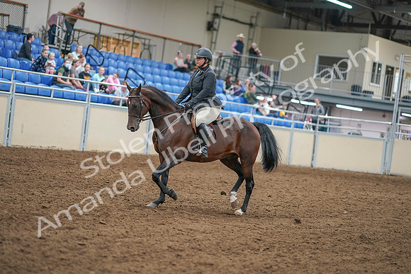 2020 - AB Morgan Horse - Sat, Sept 05 - 09305