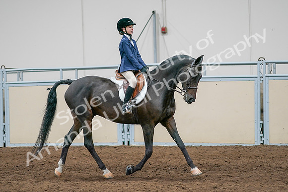 2020 - AB Morgan Horse - Sun, Sept 06 - 08128