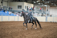 2020 - AB Morgan Horse - Sun, Sept 06 - 08292