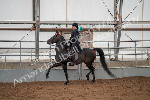 July 20, 2019 - 04211