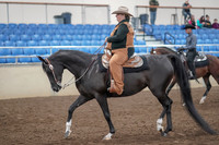 2019 Morgan Horse Show - Aug 31, 2019 - 06018