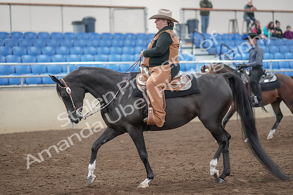 2019 Morgan Horse Show - Aug 31, 2019 - 06018