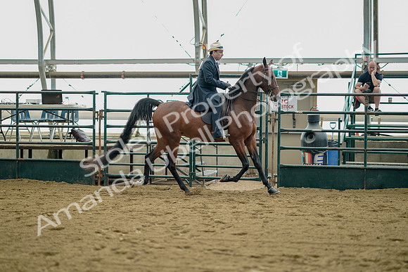 July 21, 2019 - 01728