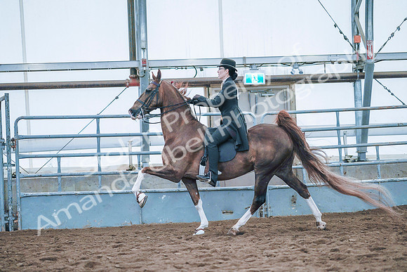 July 20, 2019 - 24054