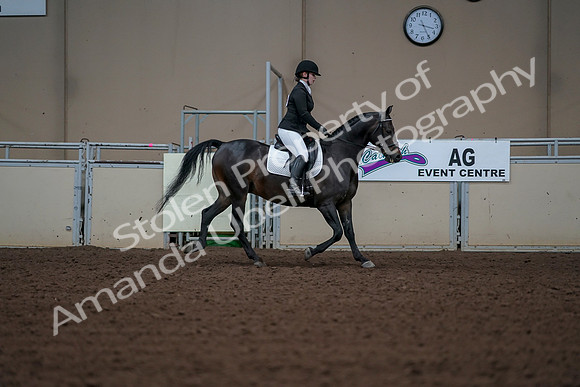 2019 Morgan Horse Show - Aug 30, 2019 - 18543