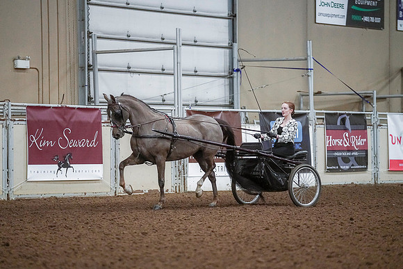Spring Fling - Saturday - April 20, 2019  -  00209