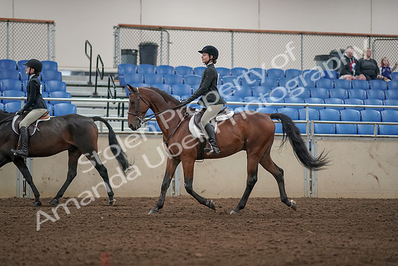 2019 Morgan Horse Show - Aug 31, 2019 - 04939