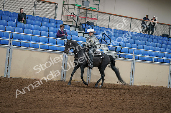 2020 - AB Morgan Horse - Fri, Sept 04 - 03550