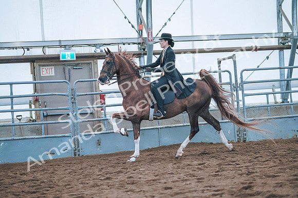 July 20, 2019 - 24149