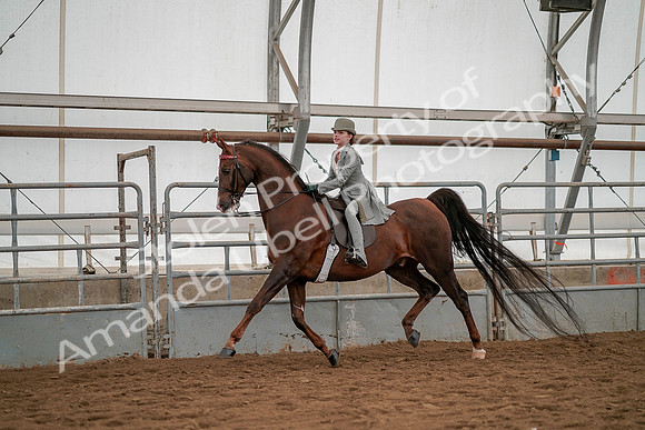 July 19, 2019 - 3979