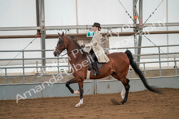 July 20, 2019 - 02075