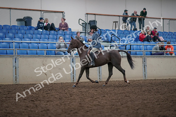 2019 Morgan Horse Show - Aug 31, 2019 - 16554