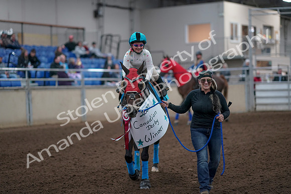 2019 Morgan Horse Show - Aug 31, 2019 - 09973