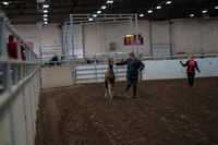 2019 Morgan Horse Show - Aug 31, 2019 - 00831