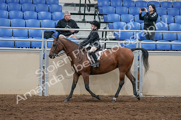 2020 - AB Morgan Horse - Sun, Sept 06 - 07726