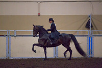 Class 165 - All Breeds English Pleasure, Stake