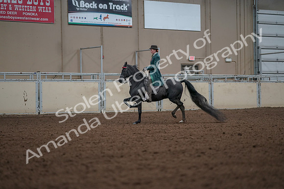 2019 Morgan Horse Show - Aug 30, 2019 - 15429