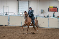 2020 - AB Morgan Horse - Sat, Sept 05 - 09370