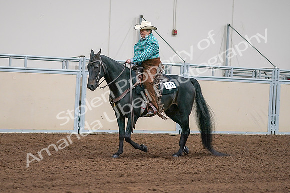 2020 - AB Morgan Horse - Sun, Sept 06 - 01585
