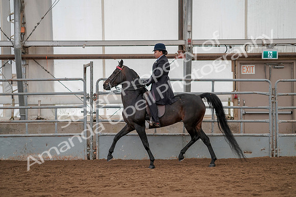 July 20, 2019 - 04225