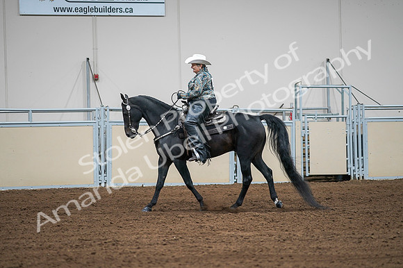2020 - AB Morgan Horse - Fri, Sept 04 - 03612