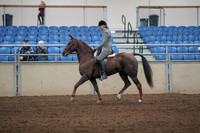 2019 Morgan Horse Show - Aug 31, 2019 - 07150