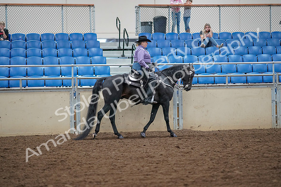 2019 Morgan Horse Show - Aug 30, 2019 - 17052