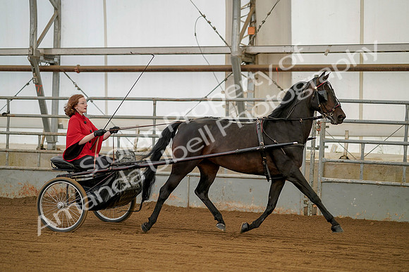 July 20, 2019 - 00208