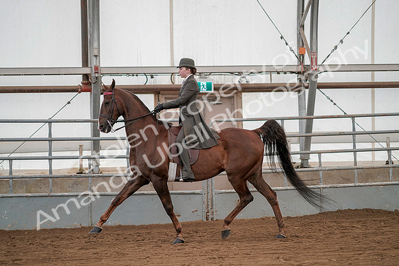 July 20, 2019 - 02021